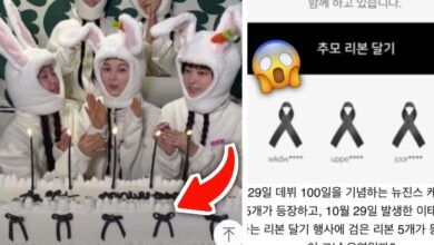 فرقة نيوجينز Newjeans لمحت لكارثة إتايوان قبل حدوثها فرقة نيوجينز Newjeans لمحت لكارثة إتايوان قبل حدوثها