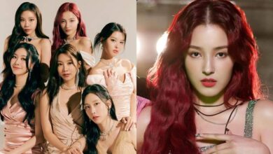 رسميًا عودة عضوات فرقة مومولاند MOMOLAND لصناعة الكيبوب رسميًا عودة عضوات فرقة مومولاند MOMOLAND لصناعة الكيبوب