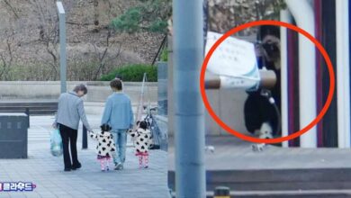 شوهد ساسانغ ( مطارد ) في أحد صور فرقة سفنتين في برنامج عودة سوبرمان