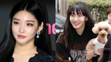 الكوريين خائفون من نظرات كلب المغنية تشونغها الذي اثار الجدل الكوريين خائفون من نظرات كلب المغنية تشونغها الذي اثار الجدل